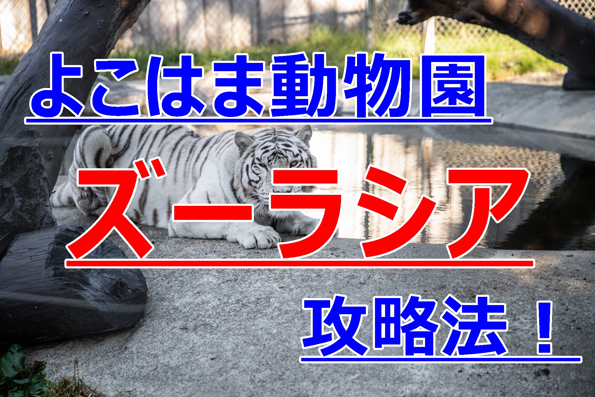 よこはま動物園ズーラシア攻略法 休日の混雑回避の小ワザとは あそび部 よこはま動物園ズーラシア攻略法 休日の混雑回避の小ワザとは あそび部