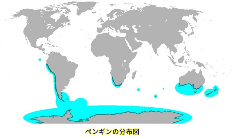 池袋サンシャイン水族館名物 天空のペンギン オフィス街の空を飛ぶ あそび部