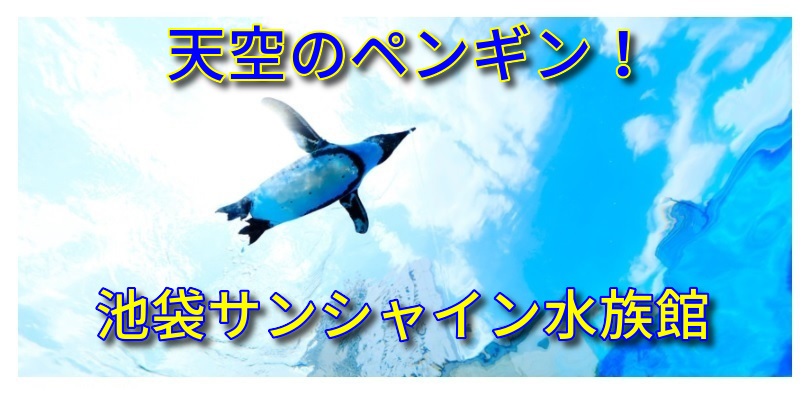 池袋サンシャイン水族館名物 天空のペンギン オフィス街の空を飛ぶ あそび部