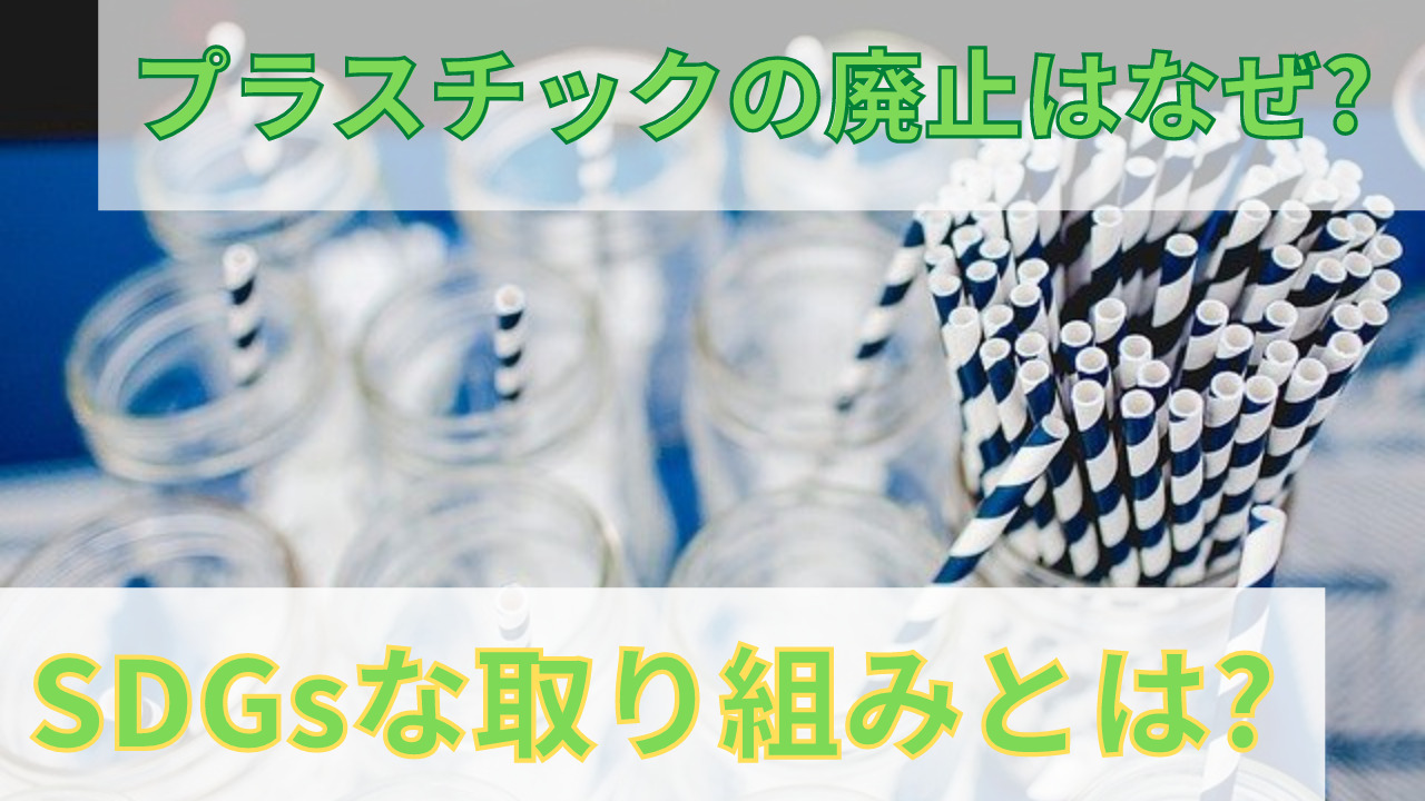 サスティナブルな取組みが未来を変える 今すぐ始められる脱プラ方法 あそび部