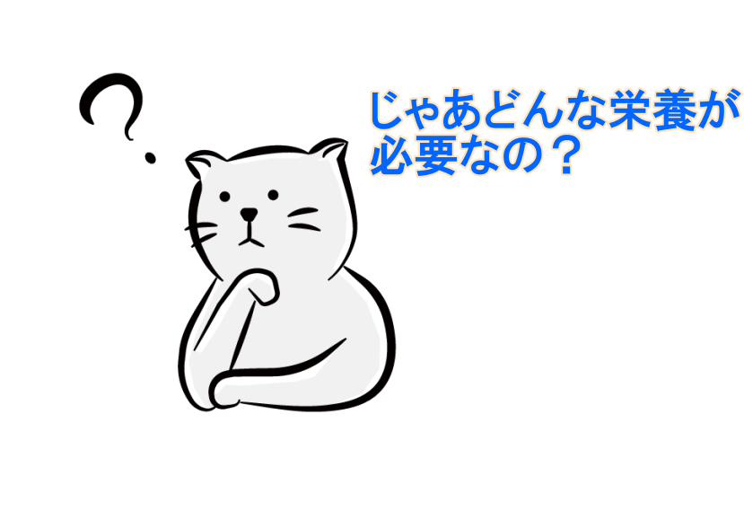 クッシング症候群の犬何食べさせる 手作りと既製品お試ししてみた あそび部